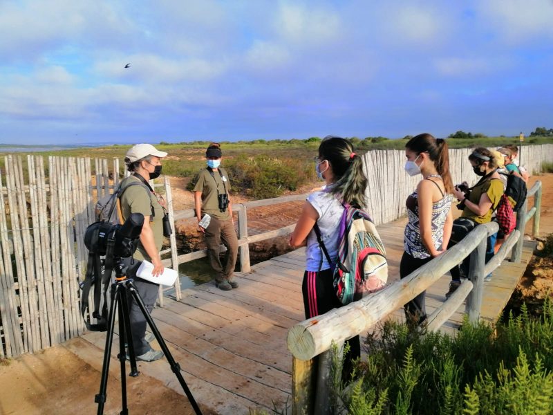 Educación ambiental y Conservación de Aguiluchos en el Parque Natural de la Mata y Torrevieja