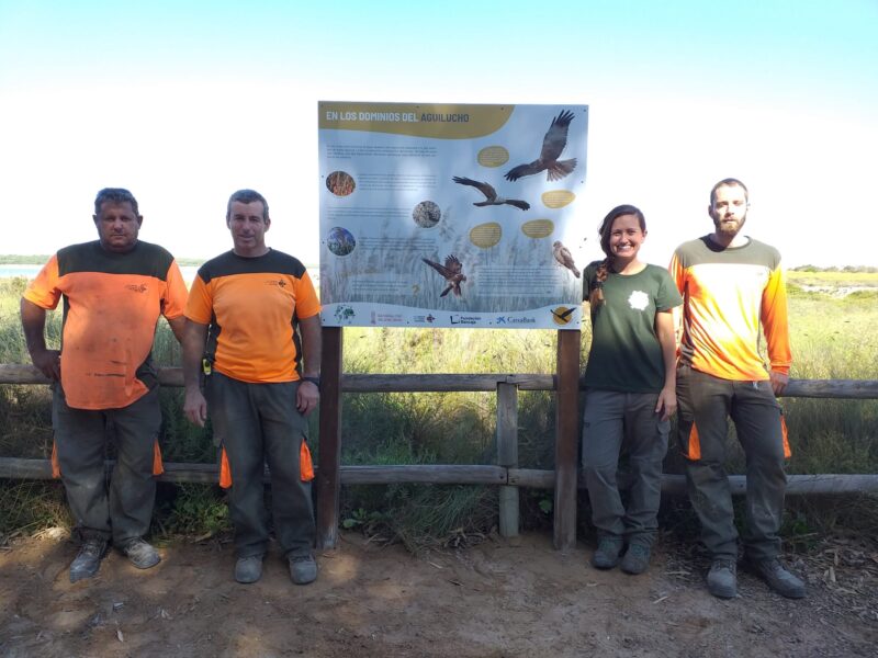 Instalación de un panel interpretativo junto con el personal del Parque Natural de las Lagunas de la Mata y Torrevieja