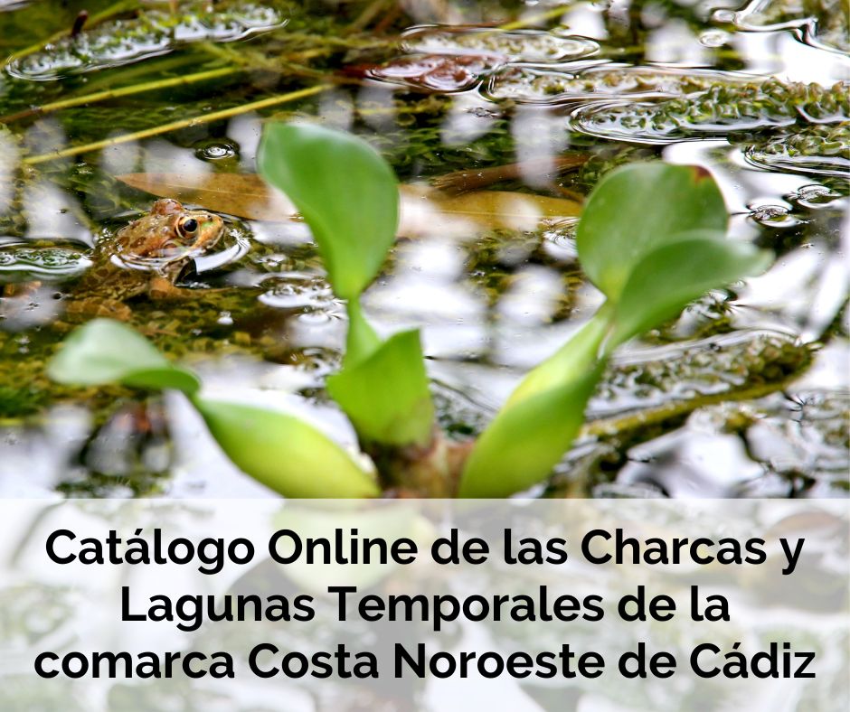Botón Catálogo Online Charcas y Lagunas Temporales Costa Noroeste de Cádiz