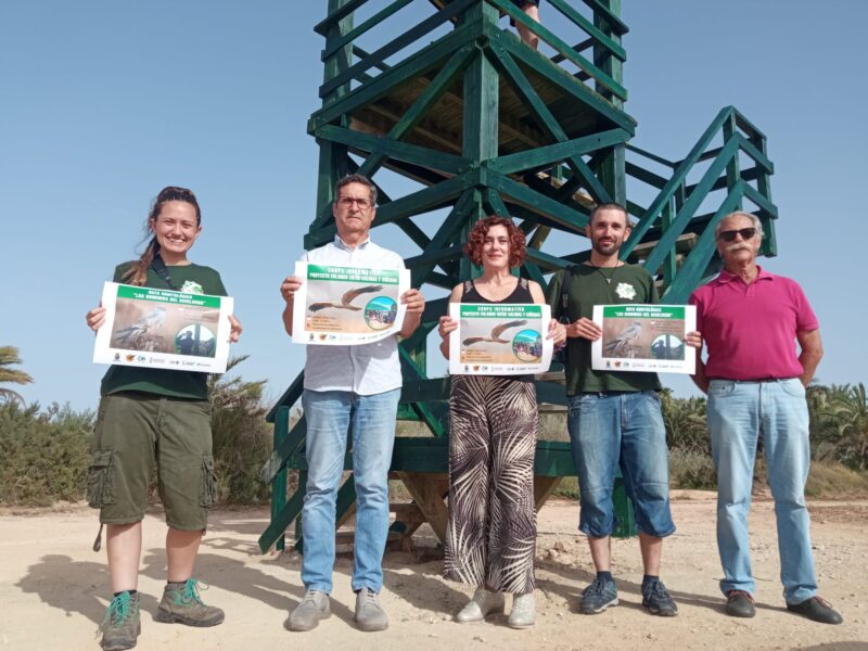 Divulgación de una actividad conjunta entre el Ayuntamiento de los Montesinos y la Asociación Faunatura para dar a conocer la importancia de las especies de aguiluchos presentes en el municipio.